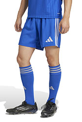 Adidas shorts